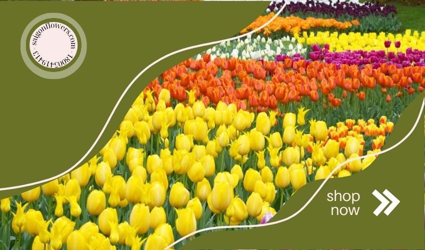 International Flower Delivery Vietnam – A Complete Guide