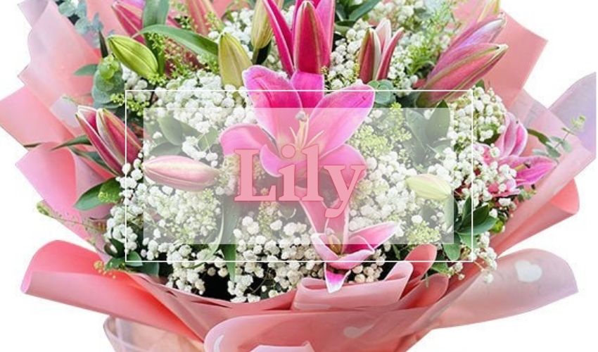 Lily Meaning and Symbolism: Love, Purity and Elegance
