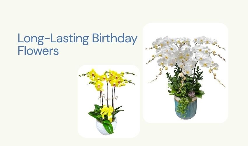 Long-Lasting Birthday Flowers