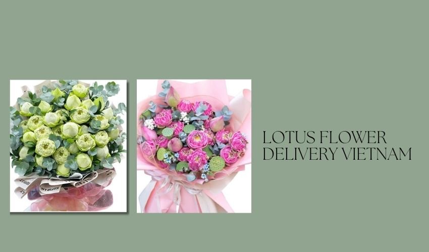 Lotus Flower Delivery Vietnam