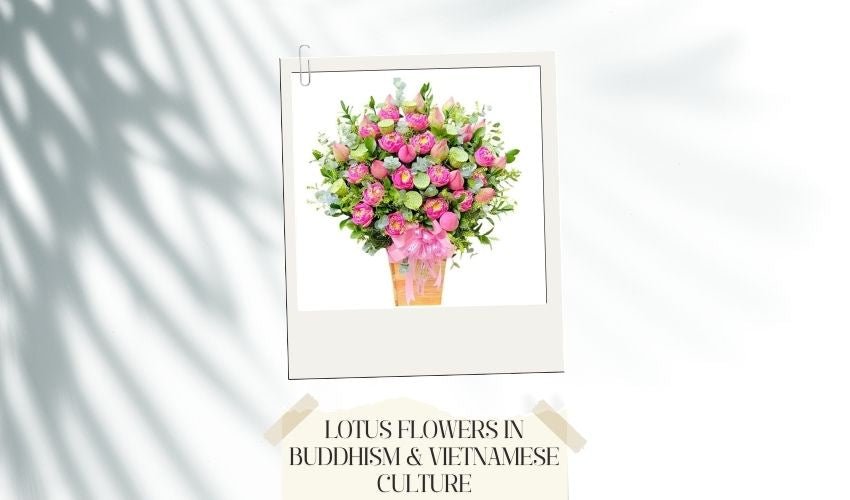 Lotus Flowers in Buddhism & Vietnamese Culture