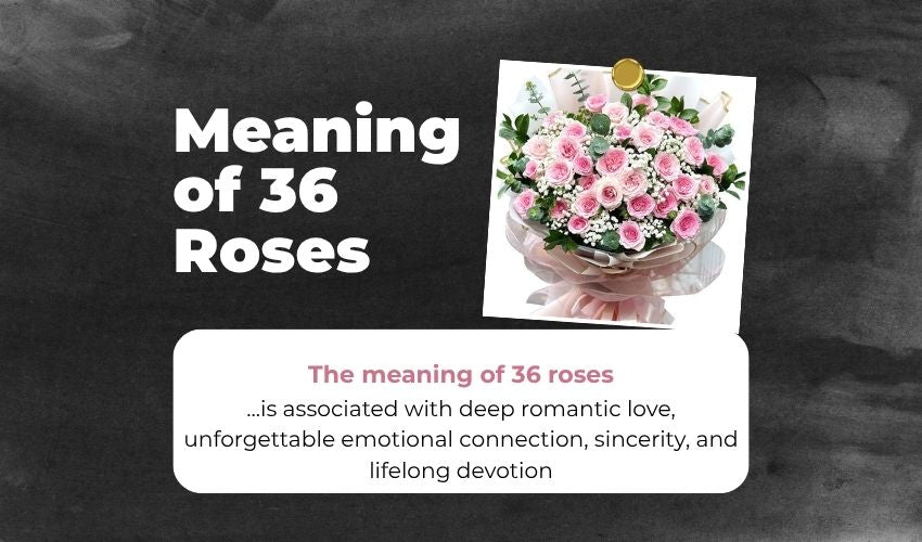 Meaning of 36 Roses