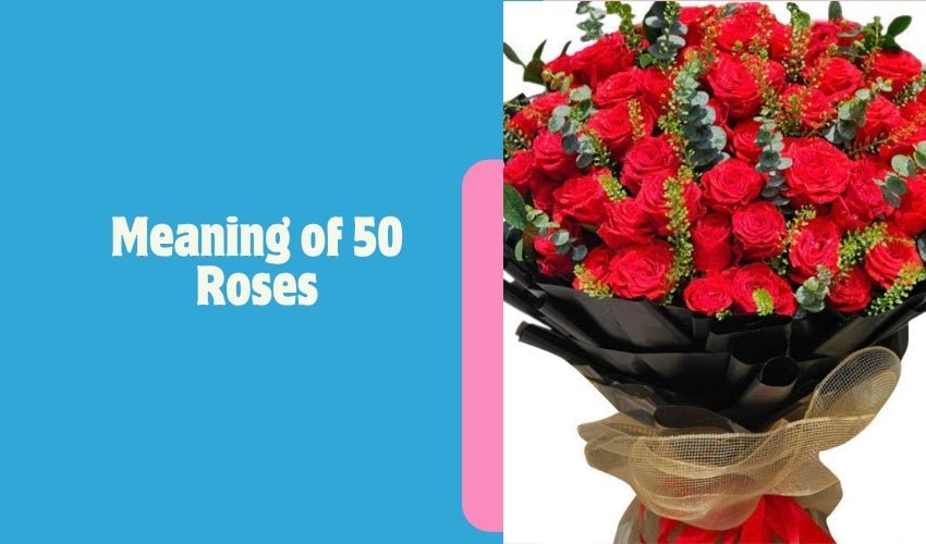 Meaning of 50 Roses