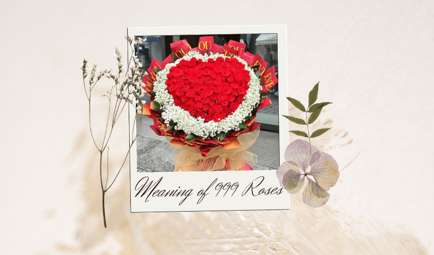 Meaning of 999 Roses