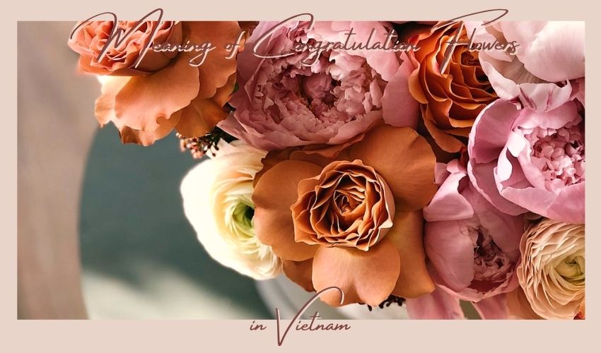 Meaning of Congratulation Flowers in Vietnam
