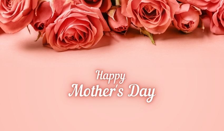 Meaning of Mother’s Day Flowers in Vietnam