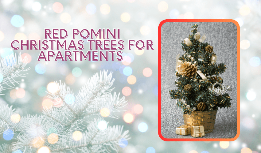 Mini Christmas Trees for Apartments