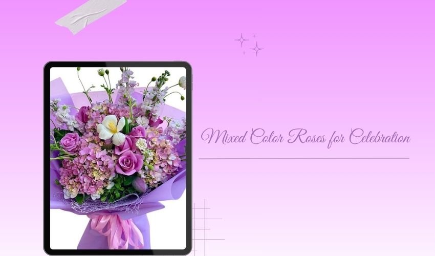 Mixed Color Roses for Celebration