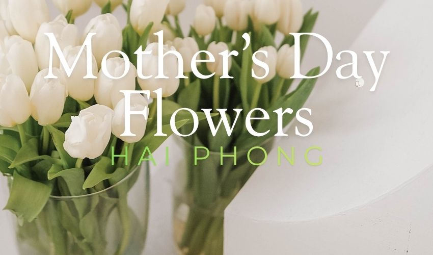Mother’s Day Flowers Hai Phong