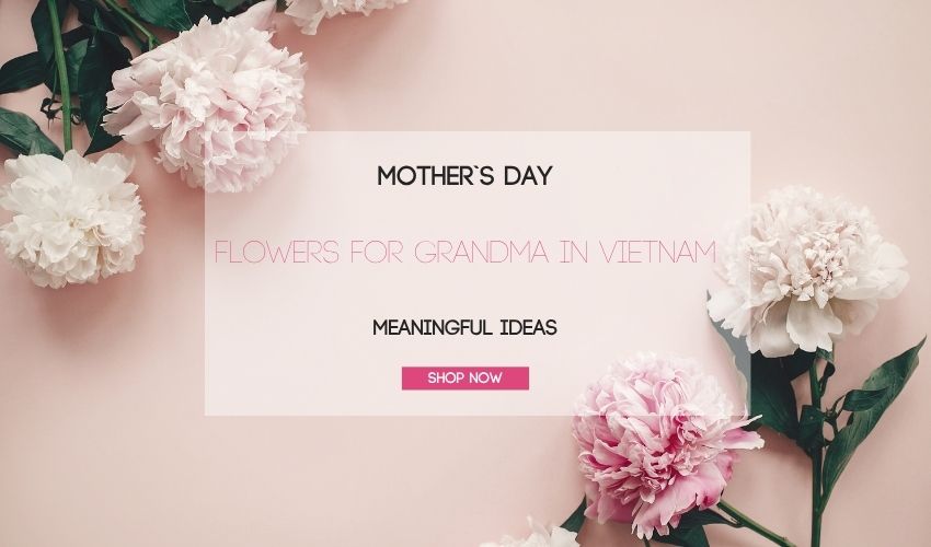 Mother’s Day Flowers for Grandma in Vietnam – Meaningful Ideas