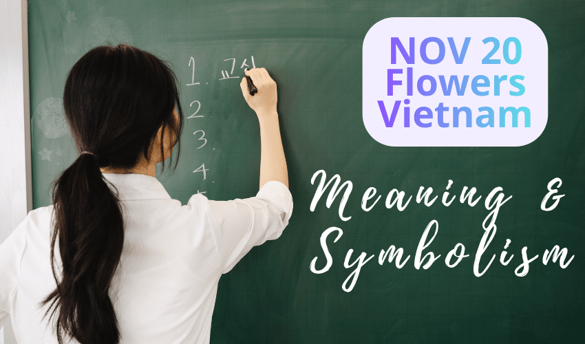 20/11 Flowers Vietnam – Meaning & Symbolism for Teachers