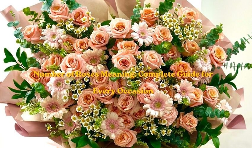 Number of Roses Meaning: Complete Guide for Every Occasion