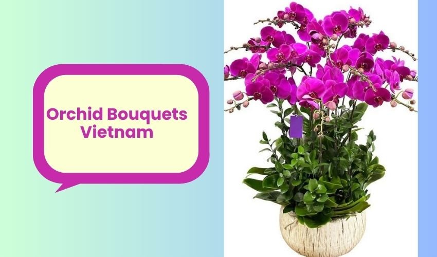 Orchid Bouquets Vietnam