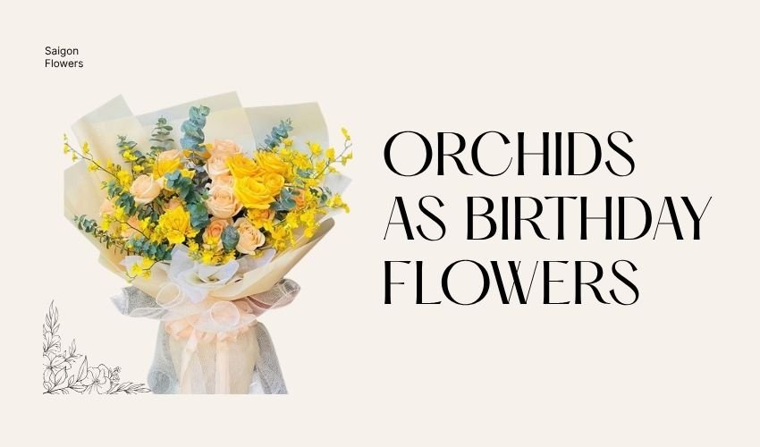 Orchids as Birthday Flowers – Elegant & Long-Lasting Gifts