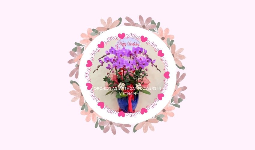 Orchids as Birthday Flowers in Vietnam
