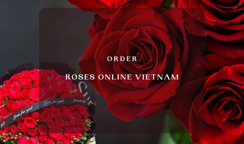 Order Roses Online Vietnam