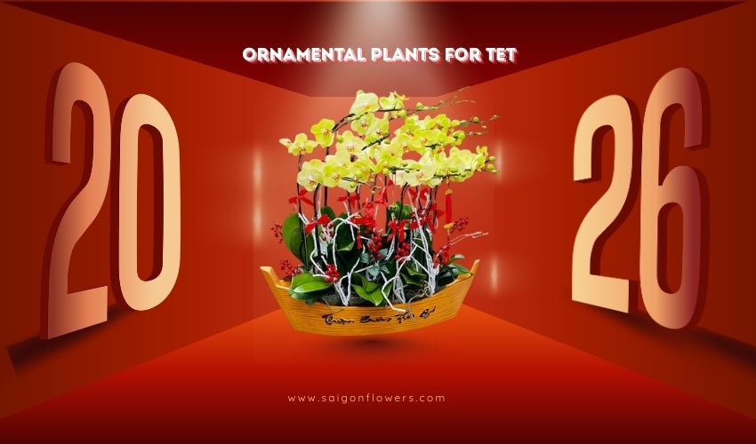 Ornamental Plants for Tet (Cây Cảnh Tết)
