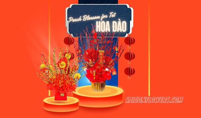 Peach Blossom for Tet (Hoa Đào)