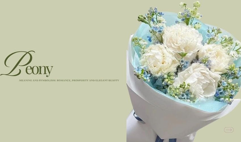 Peony Meaning and Symbolism: Romance, Prosperity and Elegant Beauty