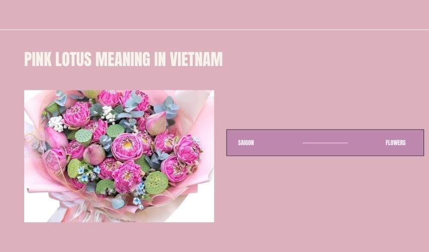 Pink Lotus Meaning in Vietnam