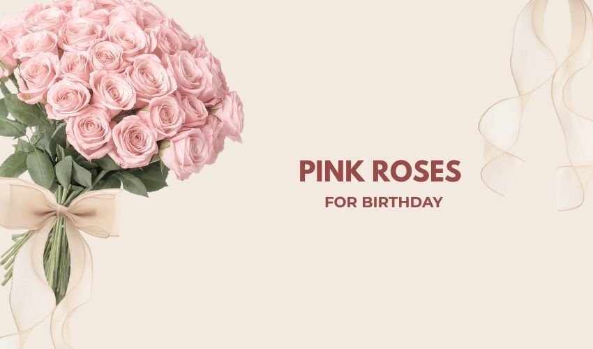 Pink Roses for Birthday