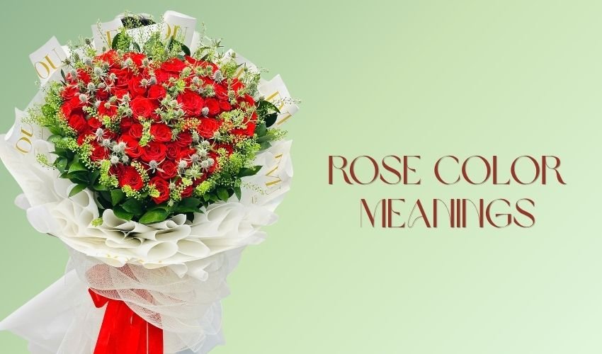 Rose Color Meanings