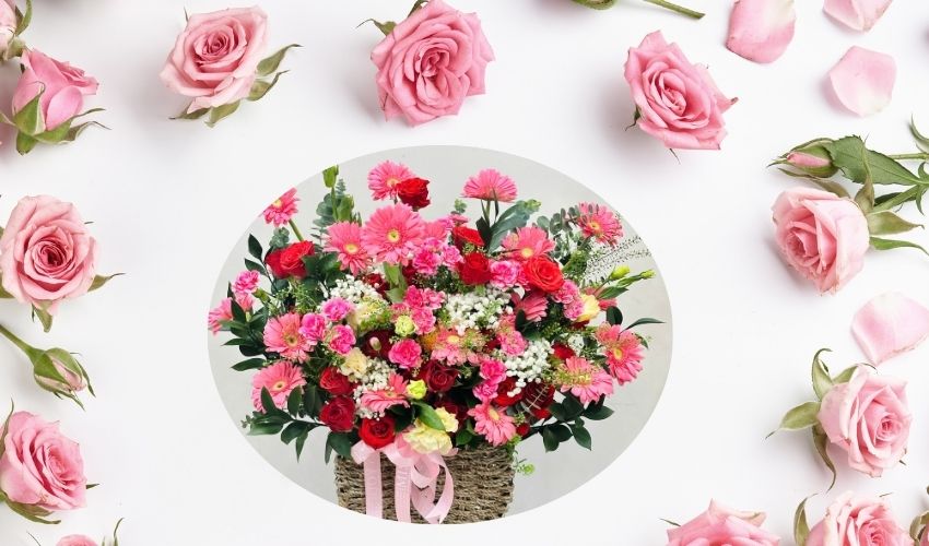 Rose Flower Box Vietnam