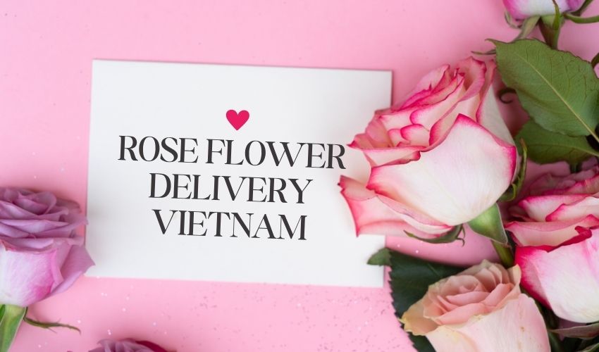 Rose Flower Delivery Vietnam