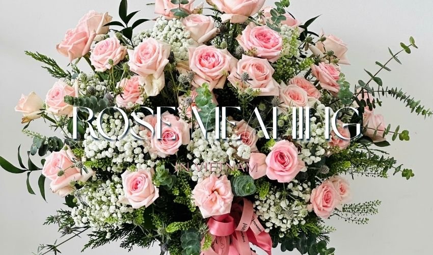 Rose Meaning in Vietnam: Love, Culture & Symbolism