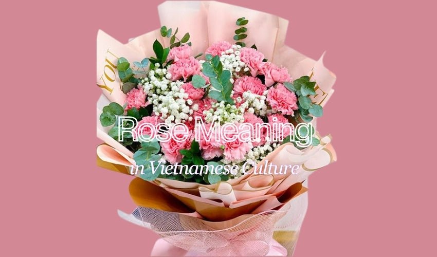 Rose Meaning in Vietnamese Culture