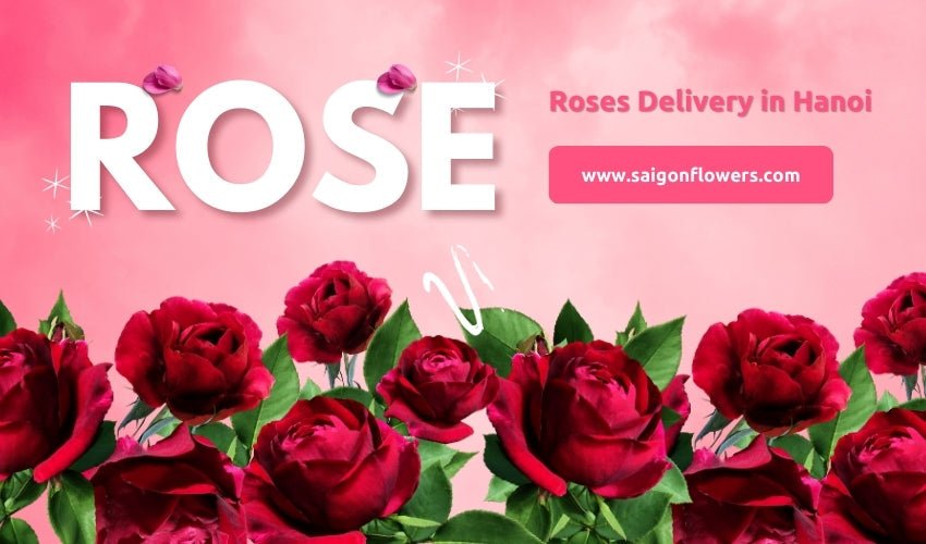 Roses Delivery in Hanoi