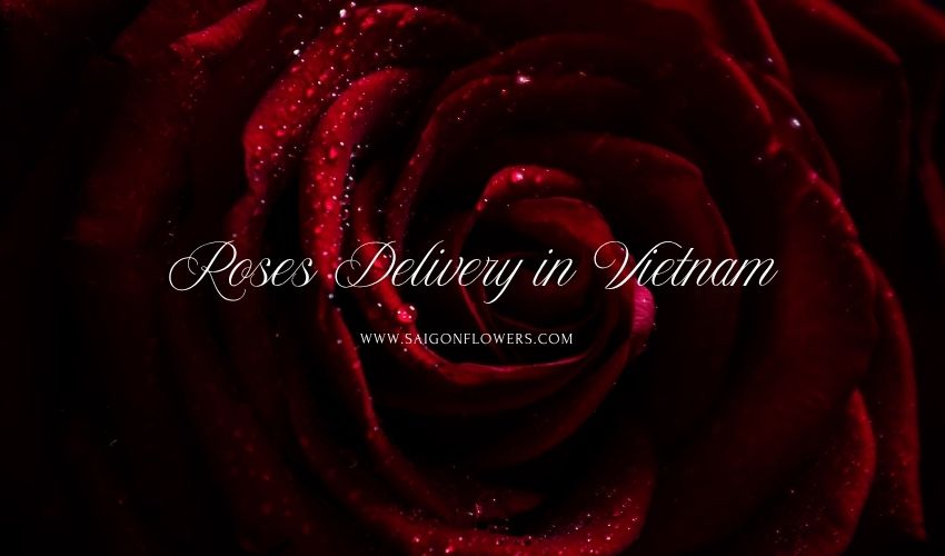 Roses Delivery in Vietnam – Express Your Love with Elegance