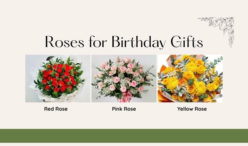 Roses for Birthday Gifts – Meaning, Colors & Best Choices