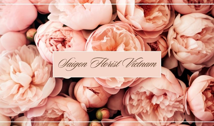 Saigon Florist Vietnam – Fresh Flowers & Gifts Since 2001