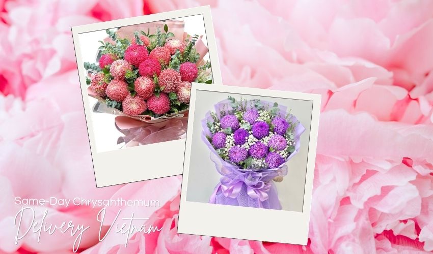 Same-Day Chrysanthemum Delivery Vietnam
