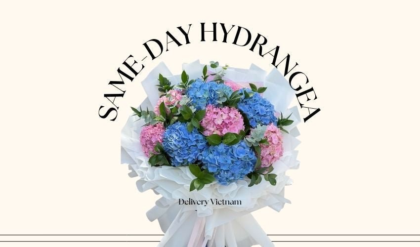 Same-Day Hydrangea Delivery Vietnam