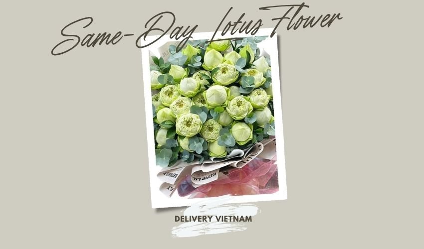 Same-Day Lotus Flower Delivery Vietnam