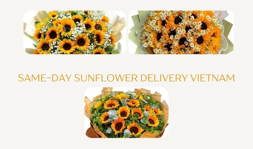 Same-Day Sunflower Delivery Vietnam
