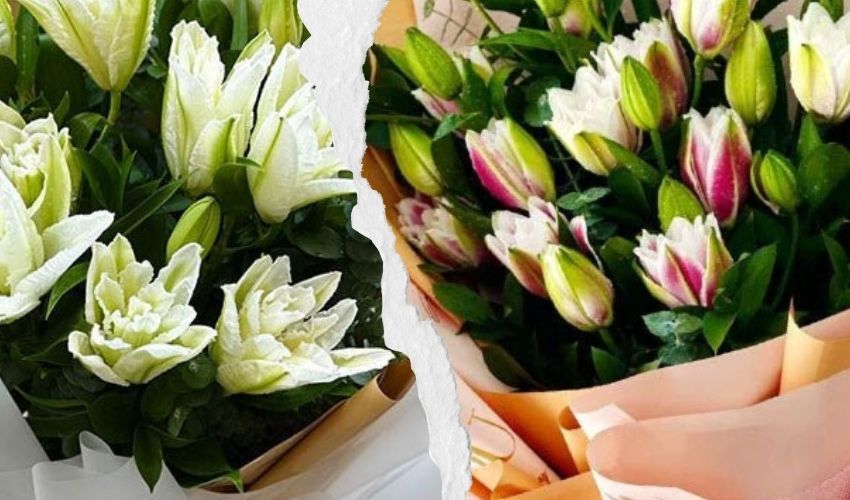 Same Day Lily Flower Delivery Vietnam