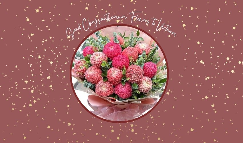 Send Chrysanthemum Flowers to Vietnam