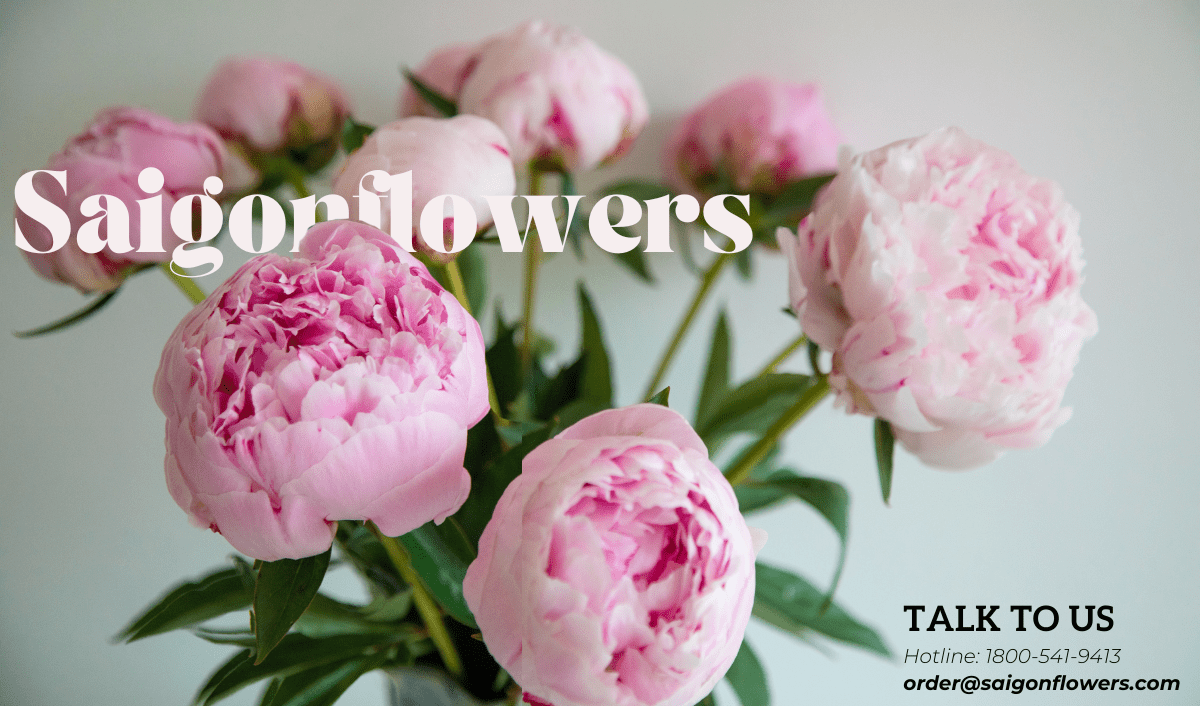 Send Flowers Ho Chi Minh