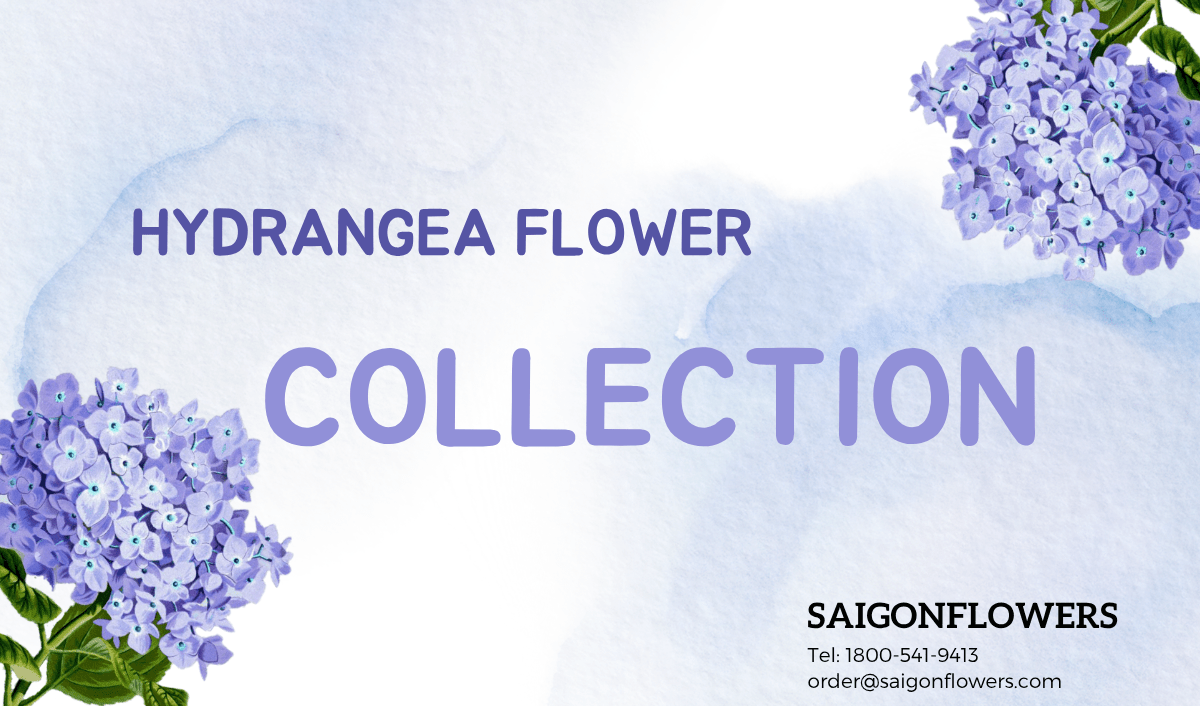 Send Flowers To Binh Dinh