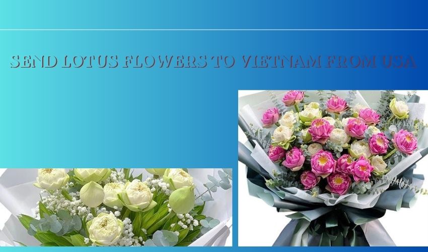 Send Lotus Flowers to Vietnam from USA