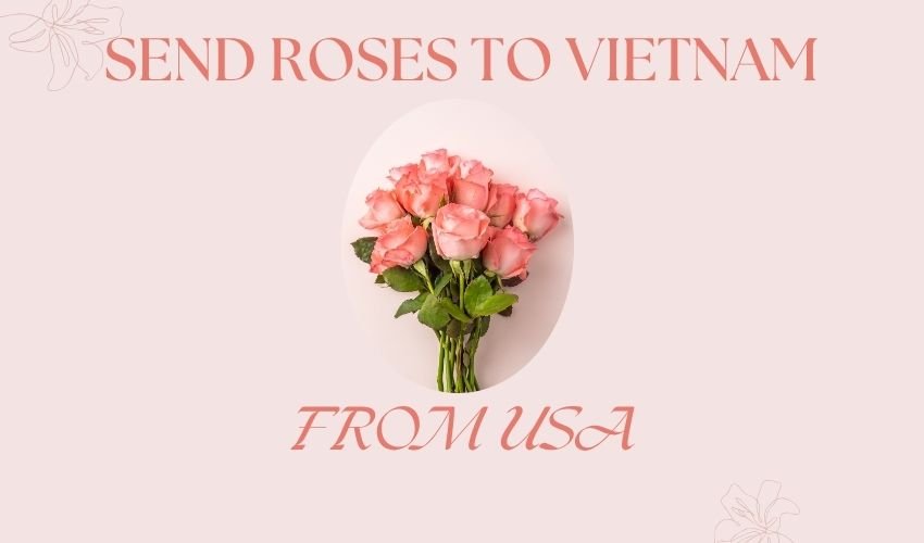 Send Roses to Vietnam from USA