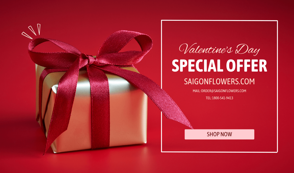 Send Gifts To Da Nang