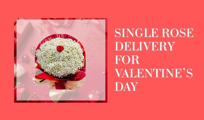 Single Rose Delivery for Valentine’s Day