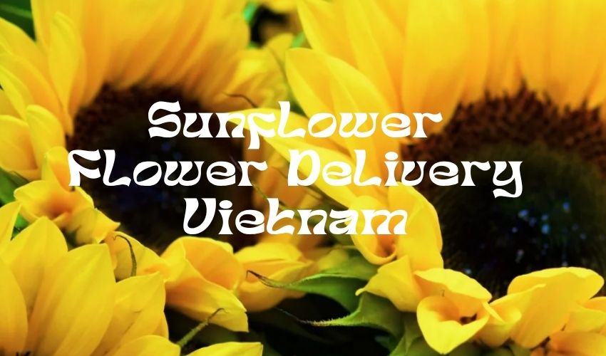 Sunflower Flower Delivery Vietnam