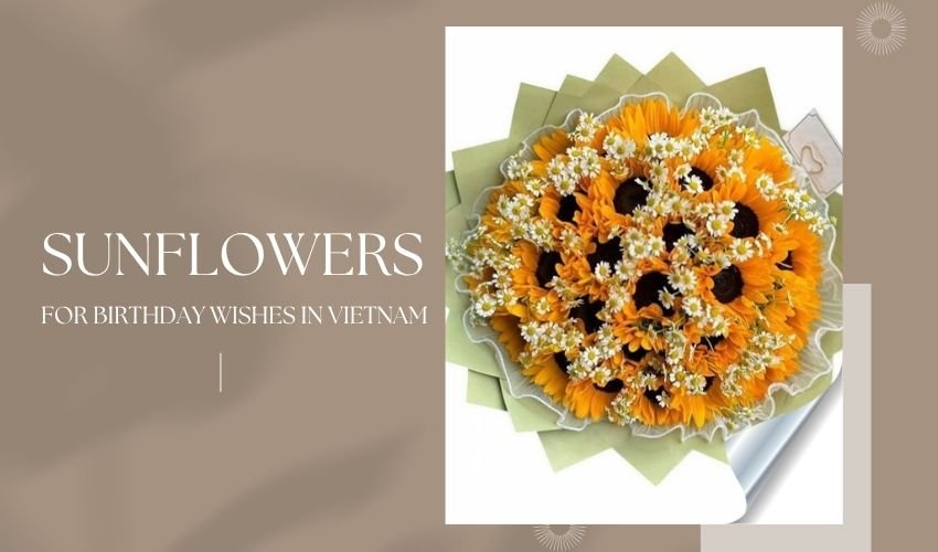Sunflowers for Birthday Wishes in Vietnam