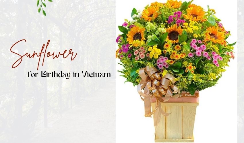 Sunflowers for Birthday in Vietnam