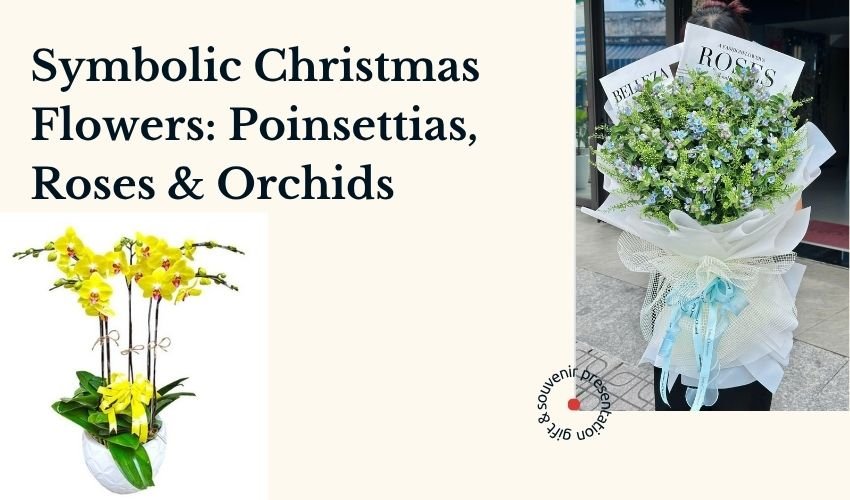 Symbolic Christmas Flowers: Poinsettias, Roses & Orchids